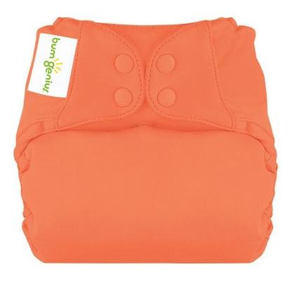 BumGenius Freetime All-In-One One-Size Cloth Nappy Colour: Kiss reusable nappies Earthlets